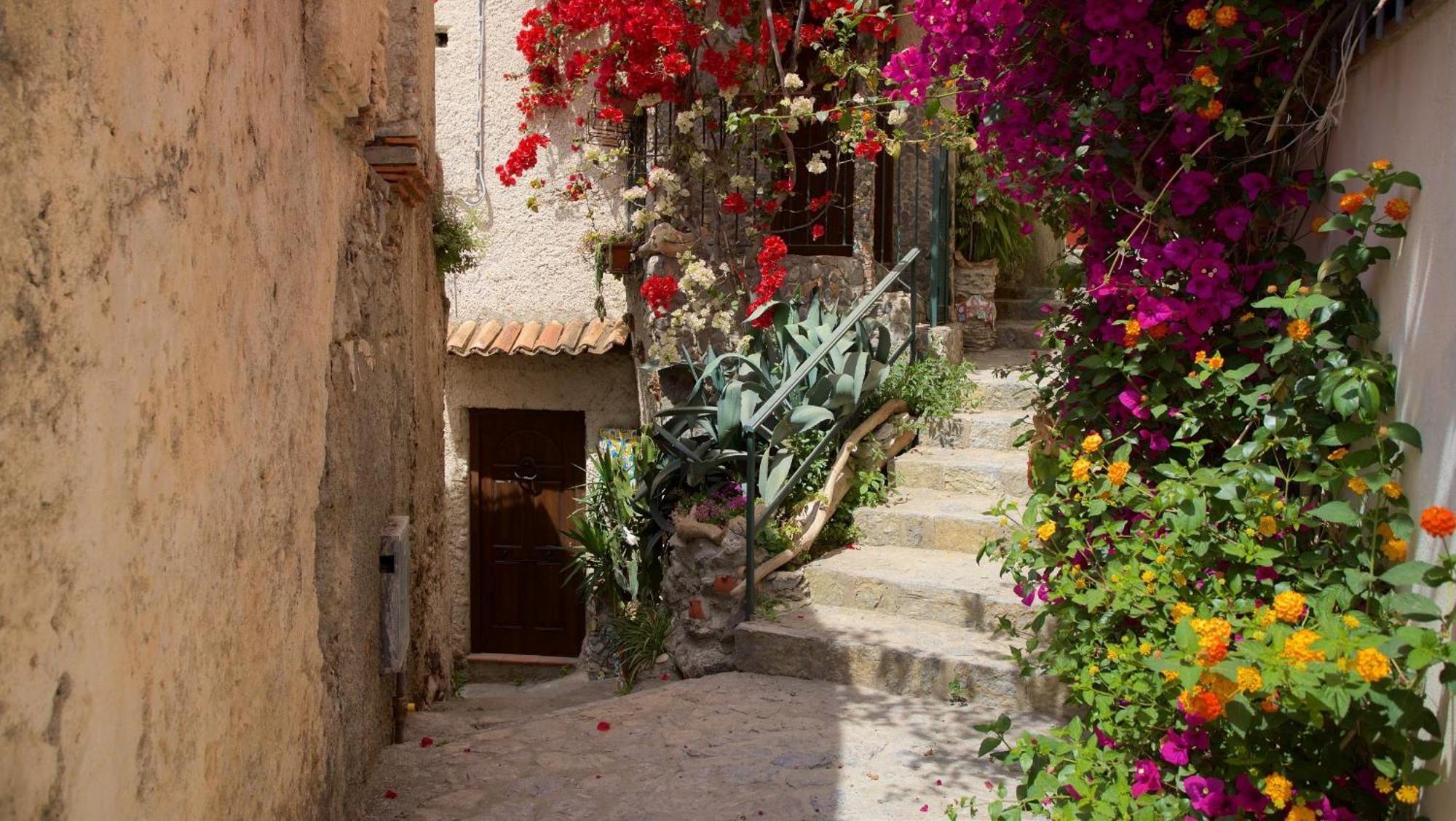 Apartamento The Lemon Tree House Scalea Exterior foto