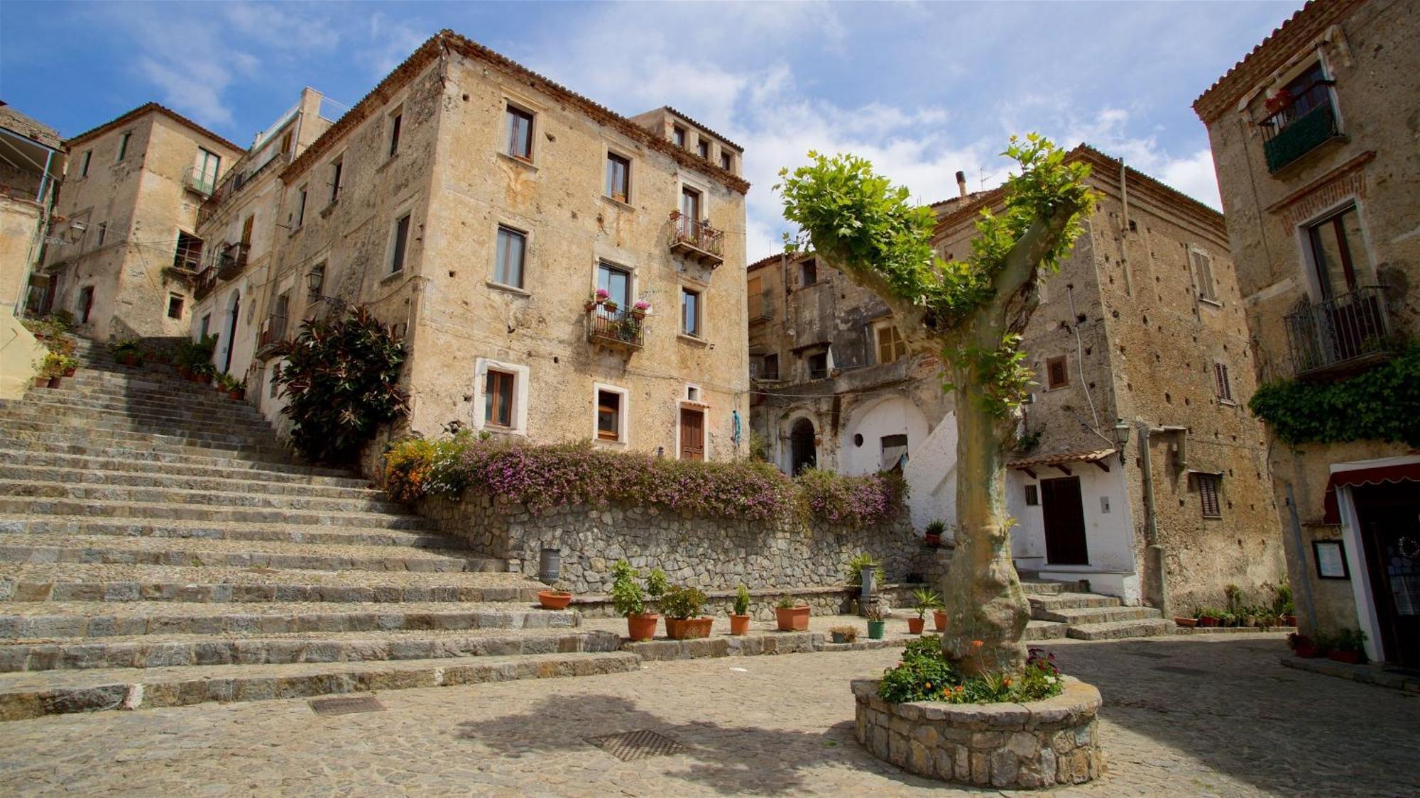Apartamento The Lemon Tree House Scalea Exterior foto
