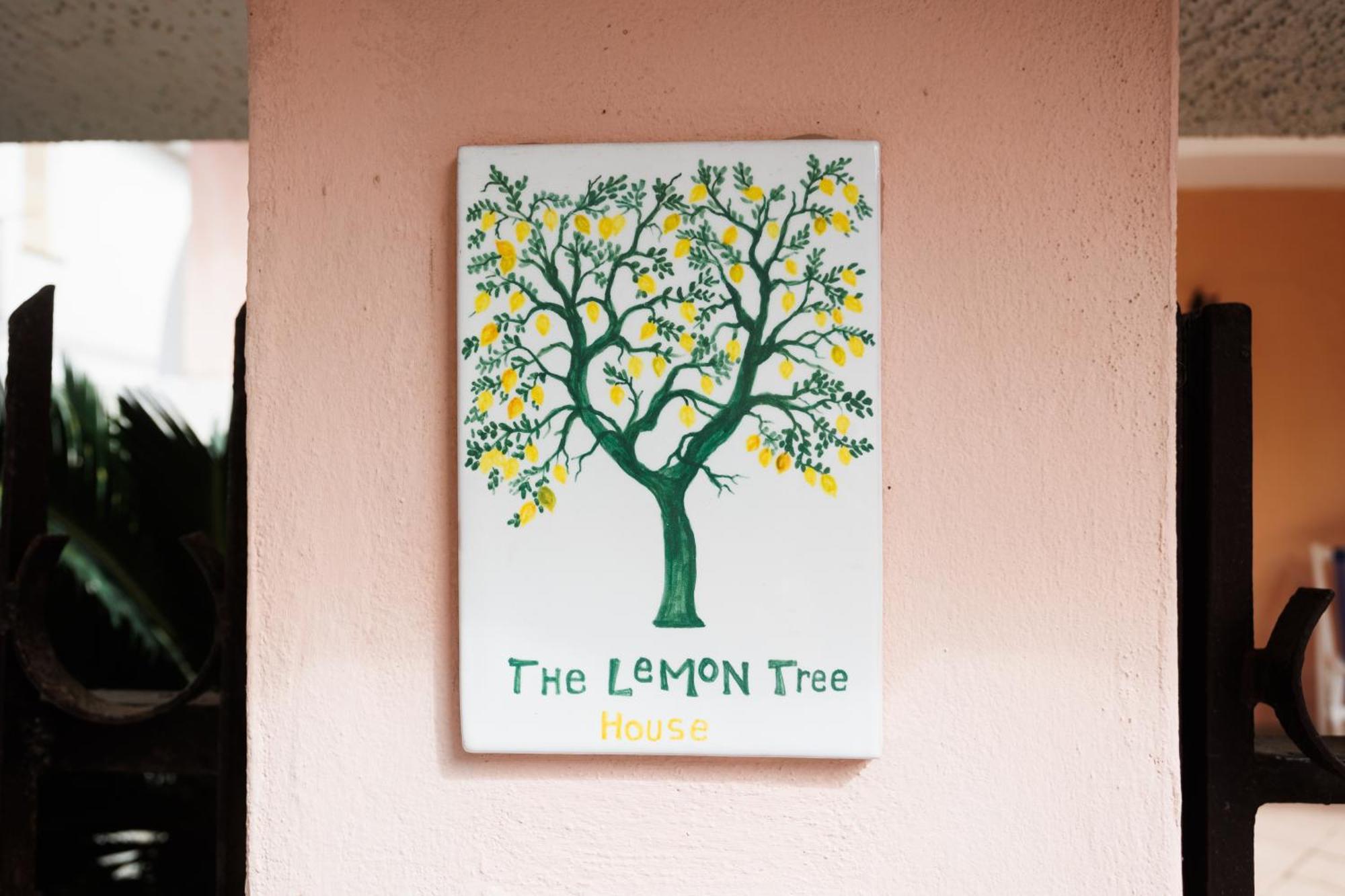 Apartamento The Lemon Tree House Scalea Exterior foto
